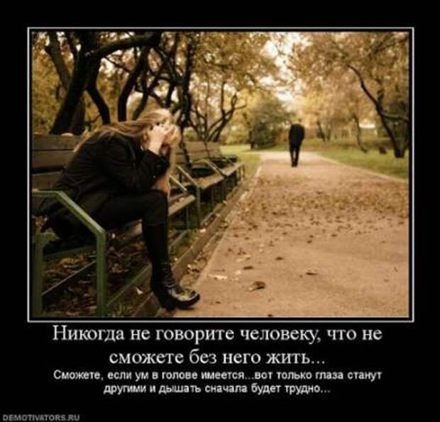 Что такое демотиватор? Ответы на сайте!