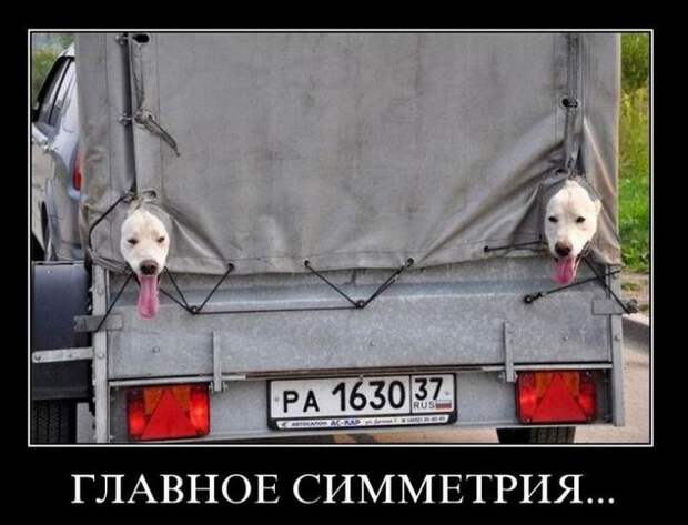 Демотиваторы демотиваторы, юмор