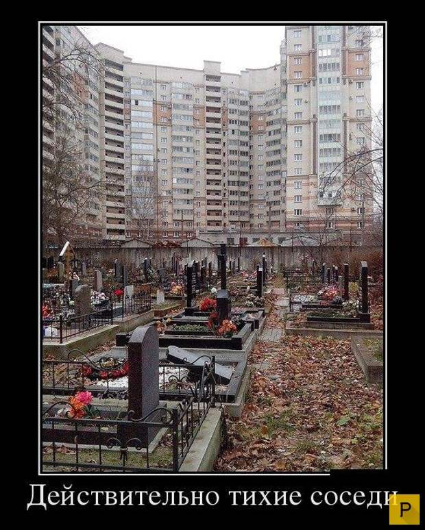 Демотиваторы от 22.12.2015 (30 фото)