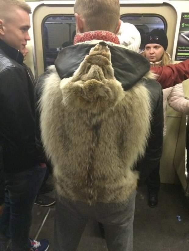 Картинки прикольные и настроение будет хорошим.