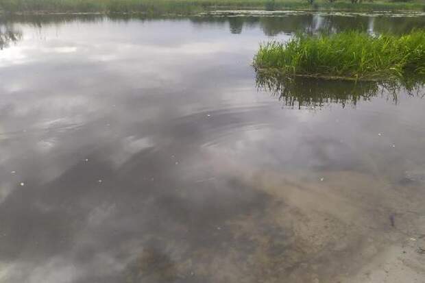 Под Тамбовом из реки полицейские достали тело 57-летнего мужчины