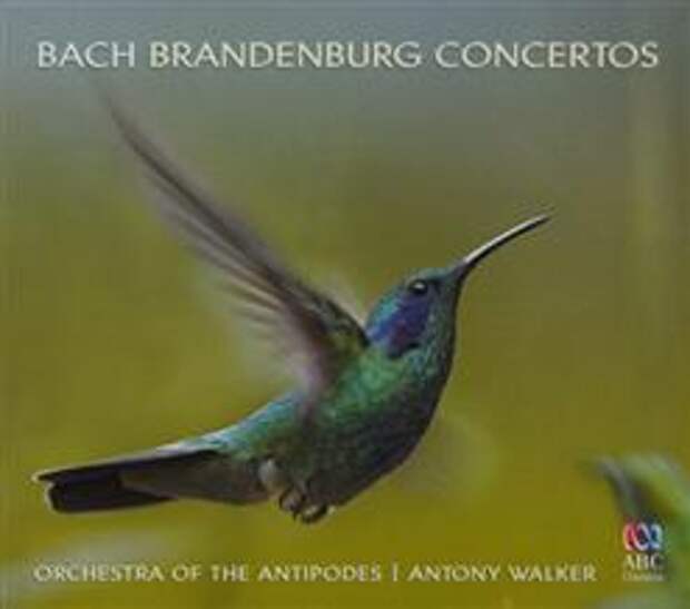 Bach Brandenburg Concertos - Orchestra Of The Antipodes / Antony Walker (2CD)