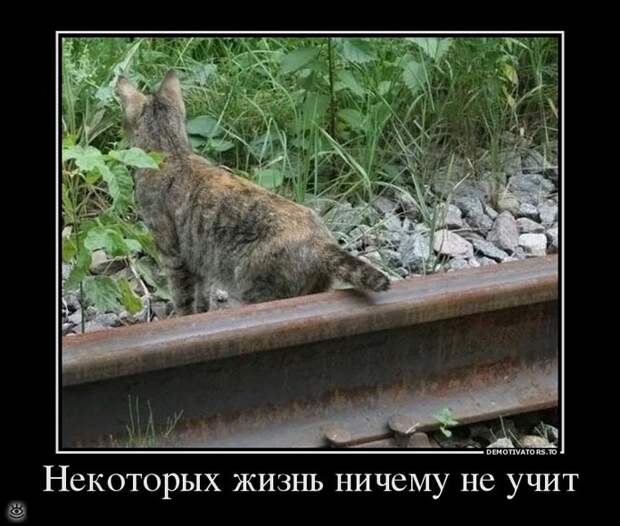 Пусть жизнь научит! 32