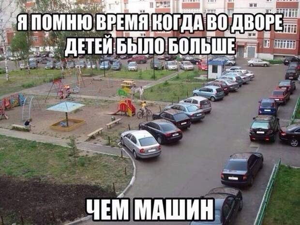 Смешные картинки с подписями катинки, прикол, юмор
