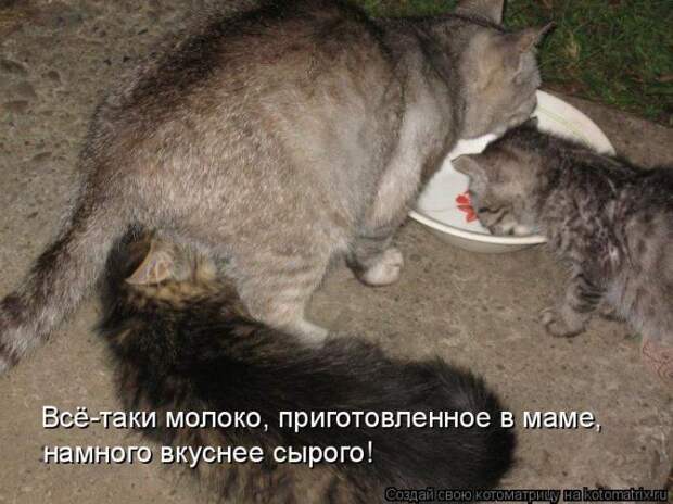Мысли вслух :)