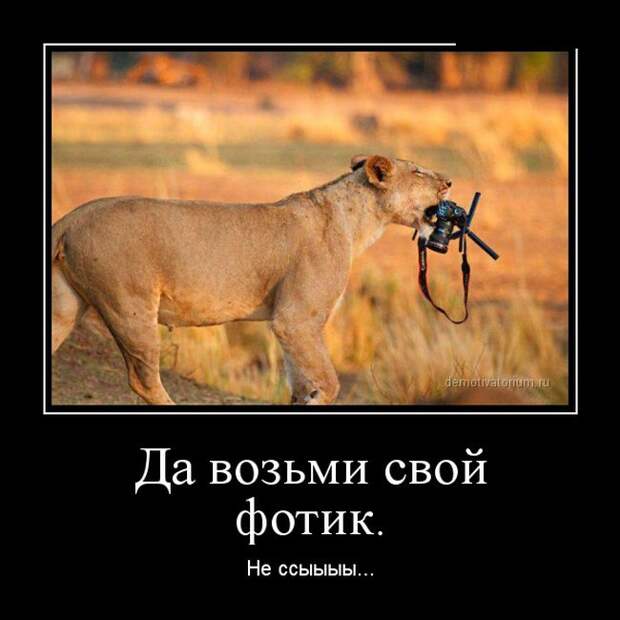 Демотиваторы демотиваторы, юмор