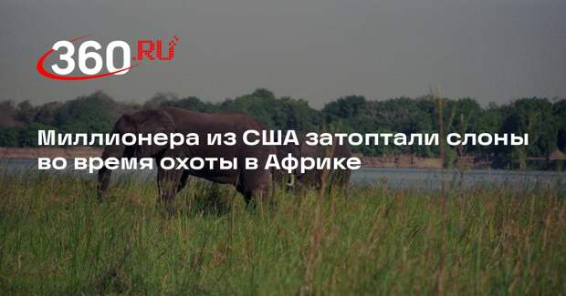 Миллионера из США затоптали слоны во время охоты в Африке