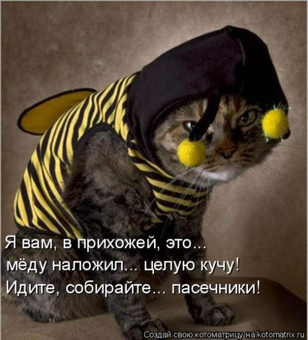 Подборка прикольных котоматриц