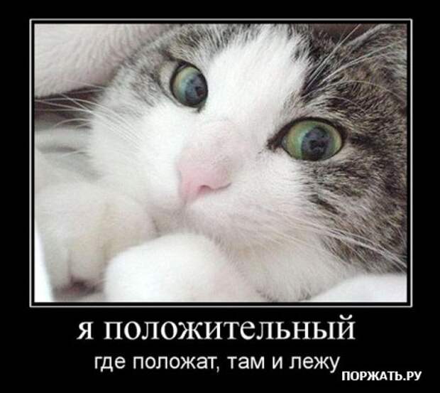 Ржачные демотиваторы к понедельнику