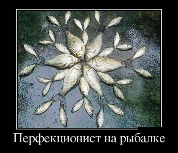 Демотиваторы Демотиваторы демотиваторы, юмор
