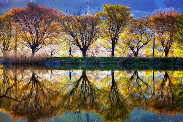 Зеркало природы в реках и озерах (12 фото)