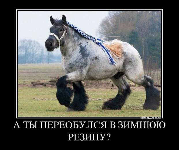 Демотиваторы демотиваторы