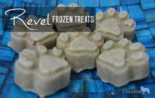 Revel Frozen Treats - The Honest Kitchen