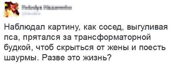 Прикольные картинки. Вечерний выпуск (54 фото)