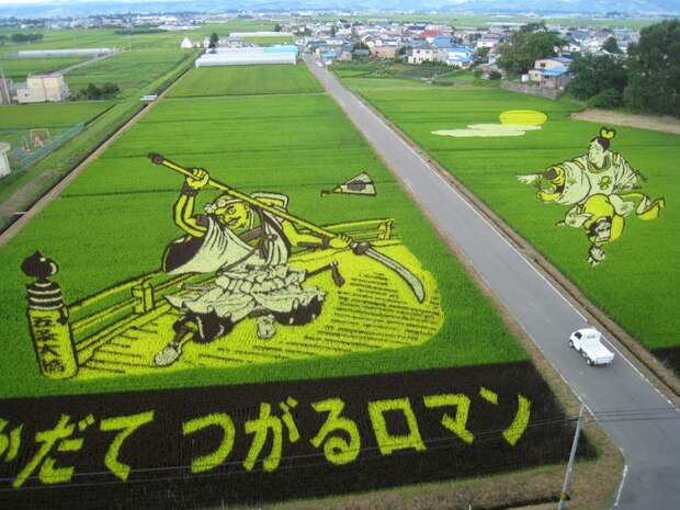 these-rice-fields-in-japan-look-like-ordinary-rice-fields-but-take-a-look-what-happens-next-artnaz-com-11