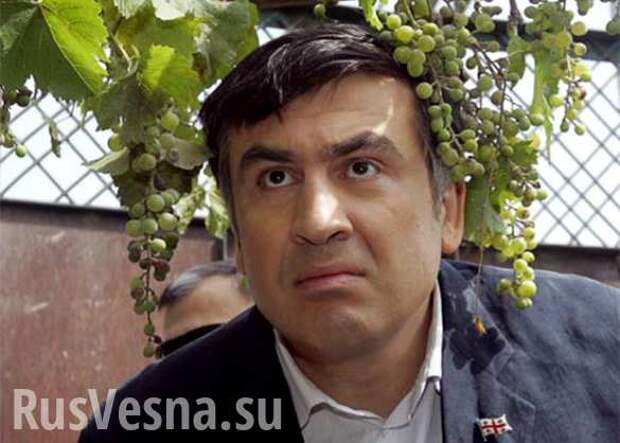 Саакашвили сделал неожиданное заявление в Twitter: «,» (ФОТО) | Русская весна