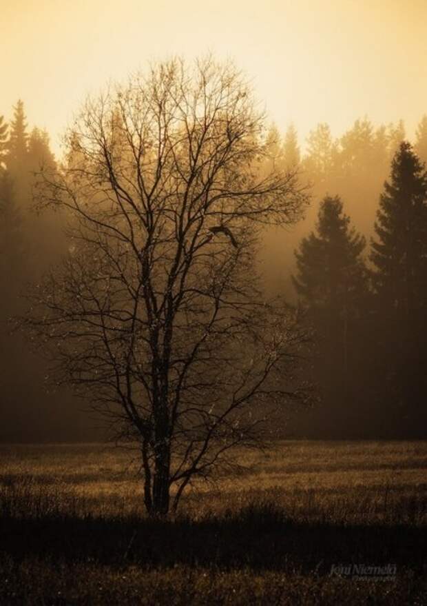 Красотка-осень в 25 фотографиях