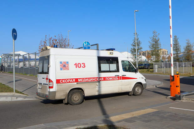 Изрезанного матерью подростка госпитализировали в Москве