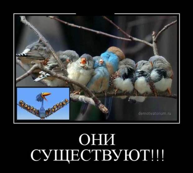 Демотиваторы демотиваторы, прикол, смех, юмор