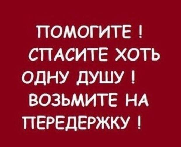 Помогите! Малыши сами пришли за спасением!