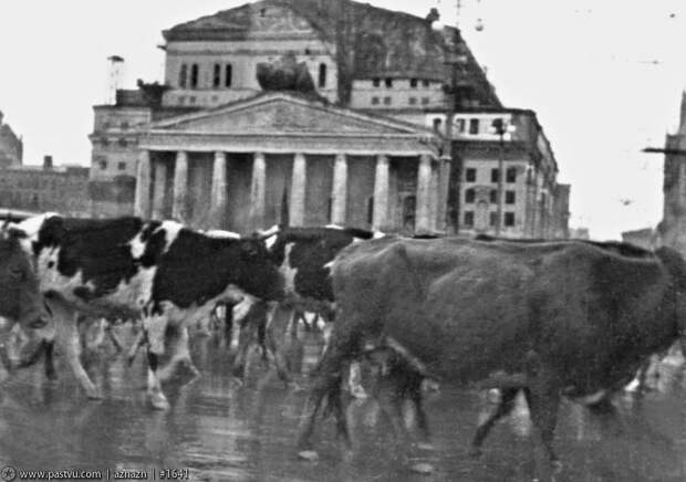 Прогулка по Москве 1941 года 1941, москва, прогулка