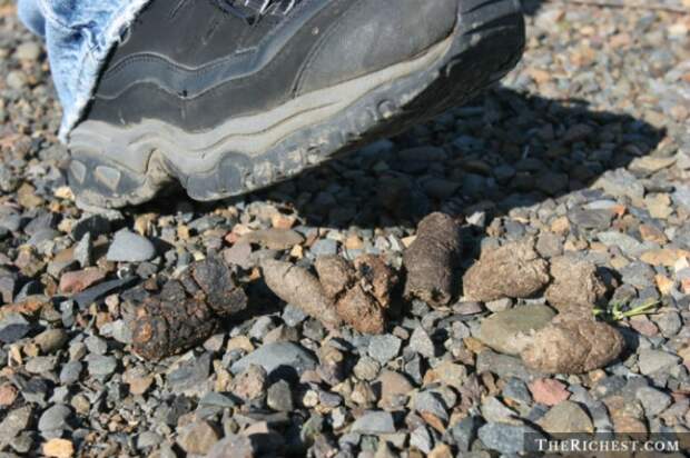 Сумасшедшие суеверия со всего мира Сумасшедшие суеверия со всего мира