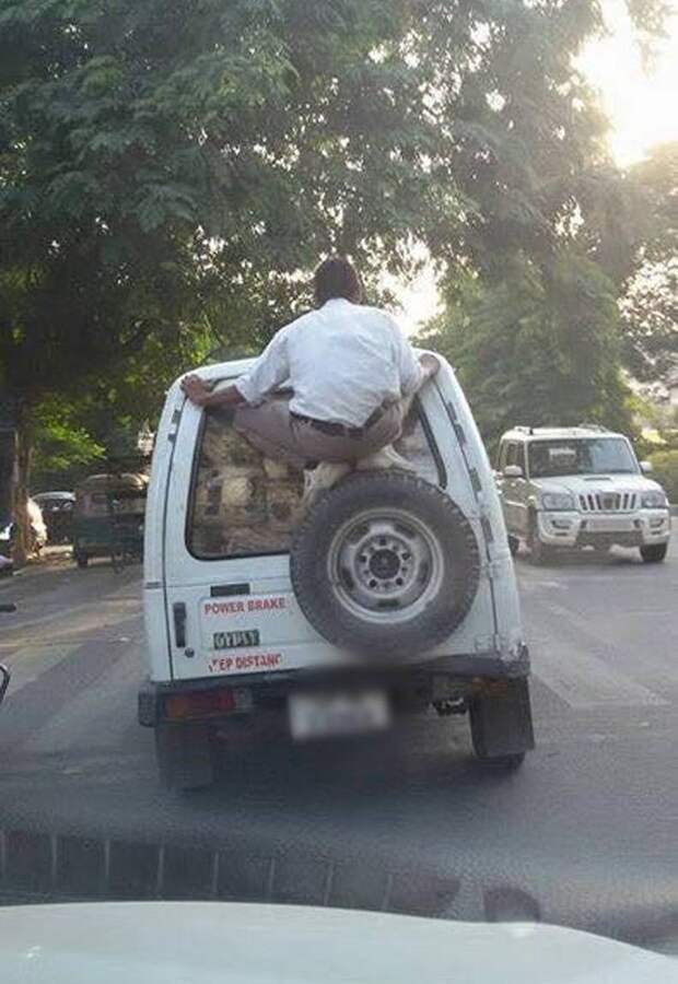 Прикольные фото из Азии