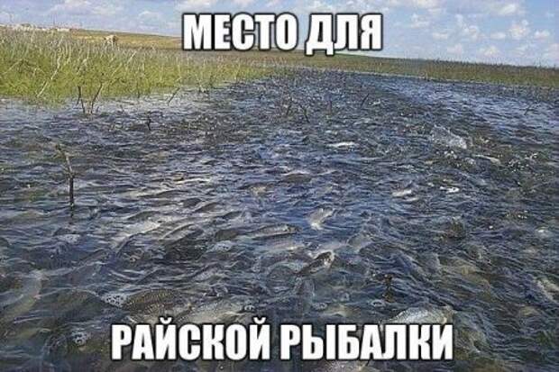 Фото Подборочка сну не повредит