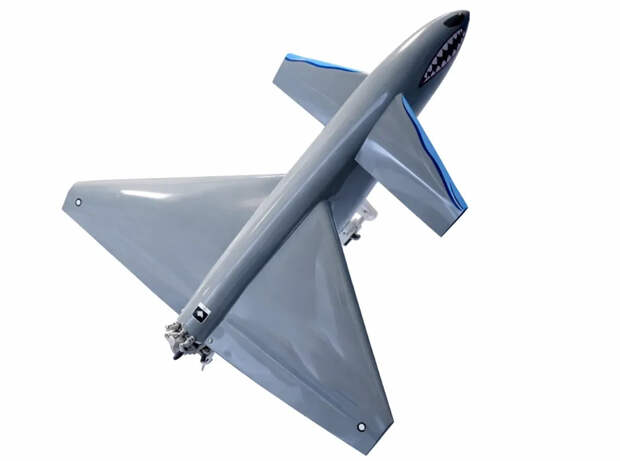 Пакистан представил ударный беспилотник Mudamir-LR, вдохновленный «Шахедами»