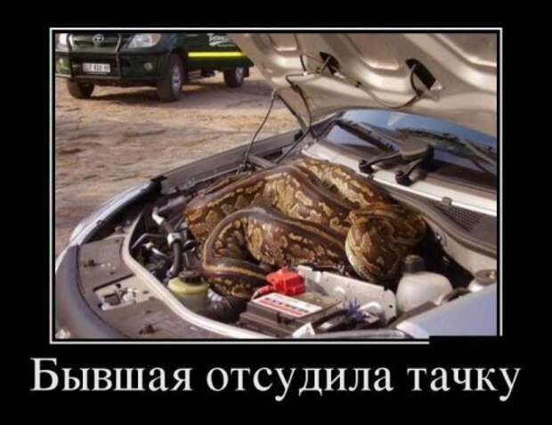 Новые прикольные демотиваторы (38 шт)