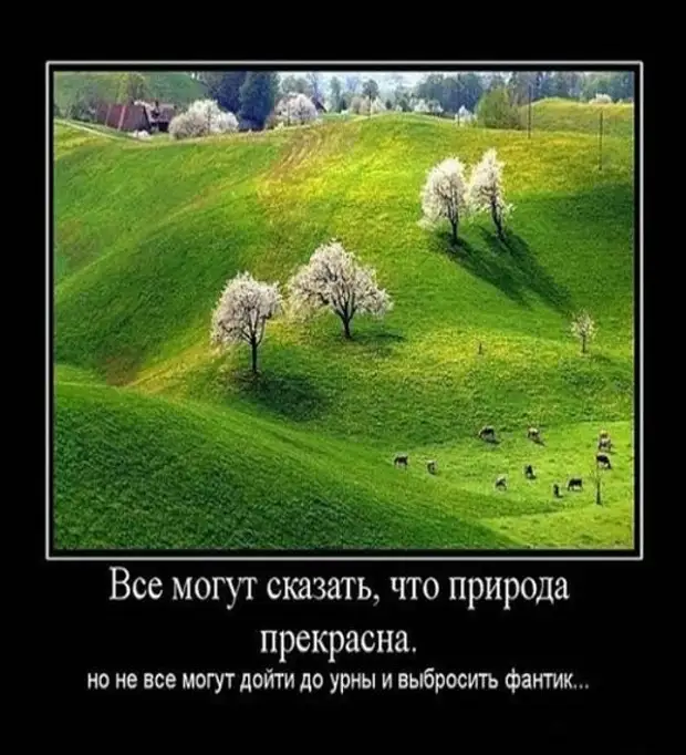 Смешные и умные демотиваторы. 518 ( 30 фото )