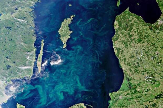 3. Летняя Балтика. Сине-зеленые водоросли видны на поверхности моря. земля, космос, пейзаж, планета, природа, россия, фотосъемка