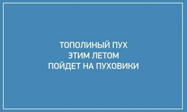 Высказывания, которые поразят вас своей точностью (24 картинки)