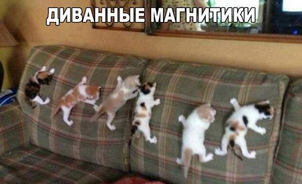 Улыбаемся Улыбаемся Смотреть всем, картинки, прикол, смешно, юмор