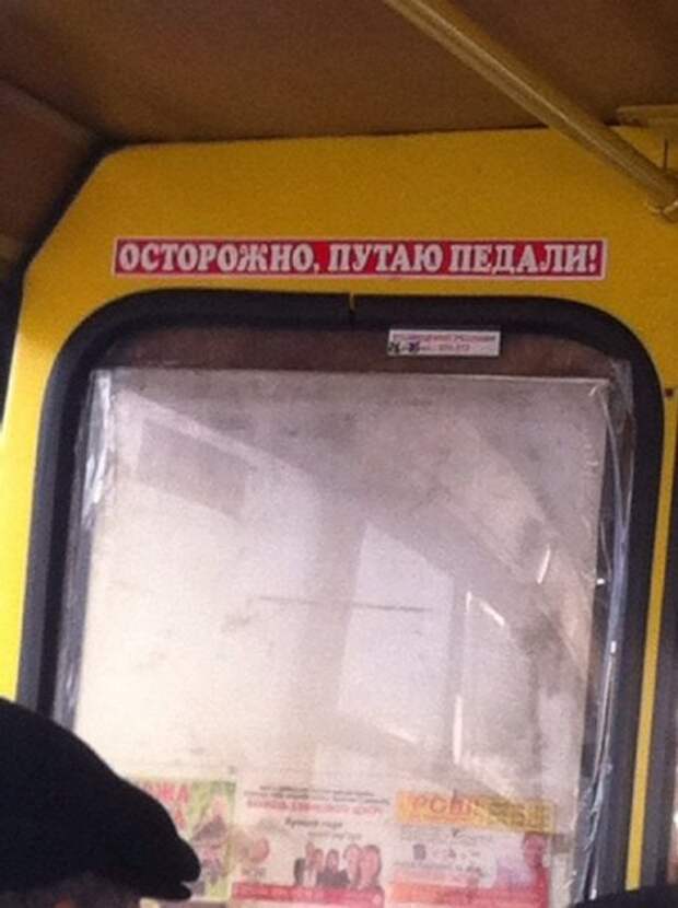 Фото приколы дома в тепле.