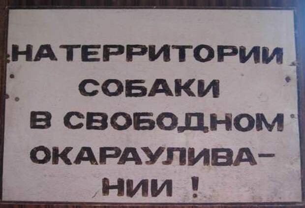 Таблички, правдивость которых не хочется проверять Таблички, правдивость которых не хочется проверять животные, прикол