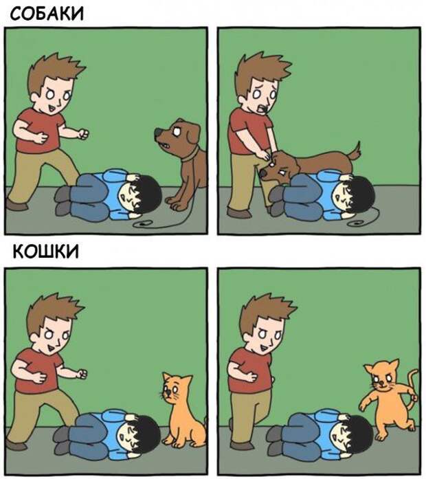 Разнообразная подборка. Всем улыбок! прикол, юмор