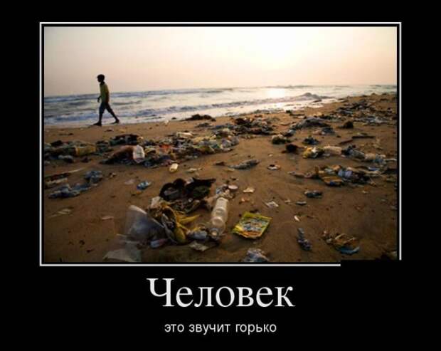 Демотиваторы. Отличная подборка!