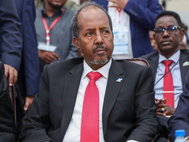 Премьер-министр Сомали отстранил от должности главу МИД
