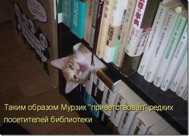 clip_image001