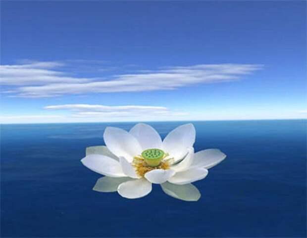 http://img0.liveinternet.ru/images/attach/c/1/55/241/55241045_28ls.jpg
