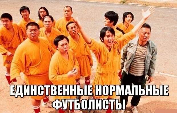 Смешные картинки с подписями катинки, прикол, юмор