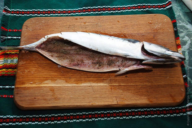 plateau_mackerel_03 (700x468, 467Kb)