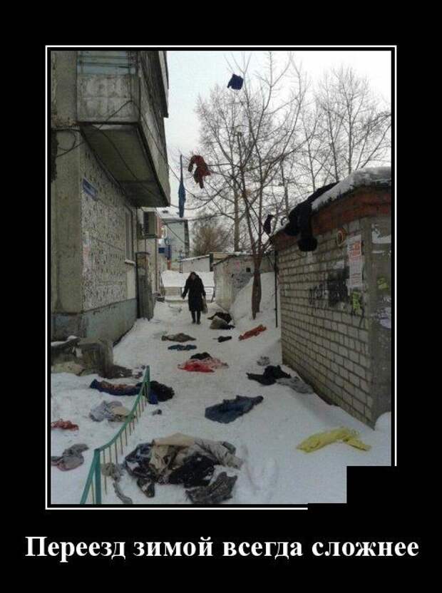 Демотиваторы (30 фото) Демотиваторы (30 фото)