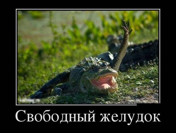 Демотиваторы (30 фото)