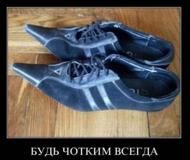 Демотиваторы новые и только смешные.