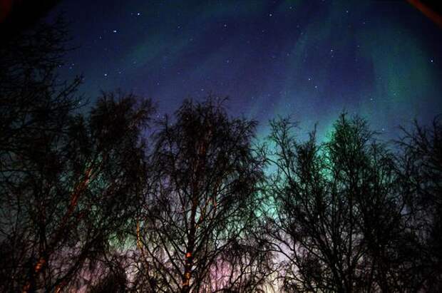 Жители Ленобласти стали свидетелями северного сияния
