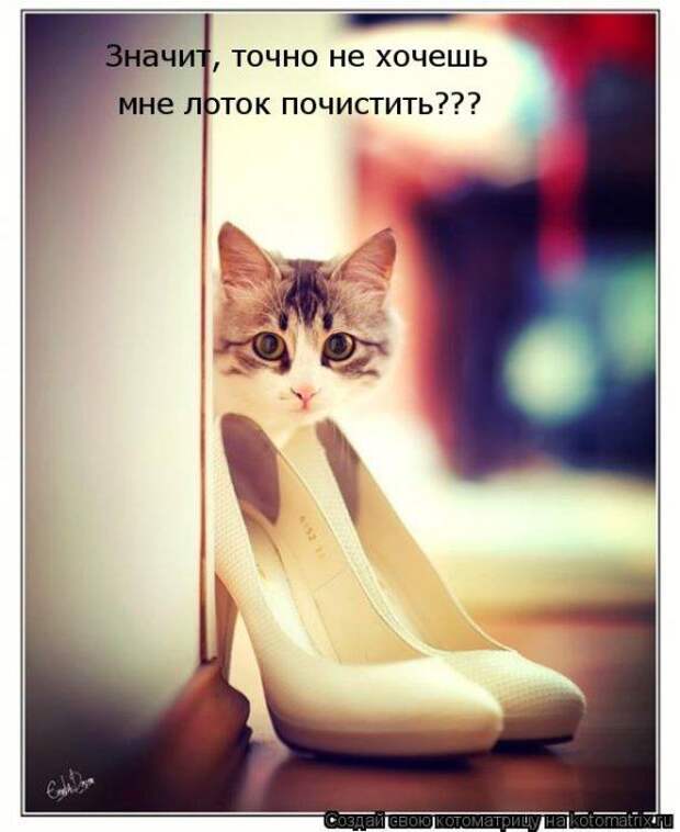 Мысли вслух :)