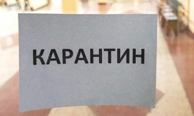 Карантин / Фото: ЕР