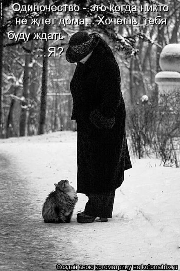 Котоматрицы(картинки с надписями)